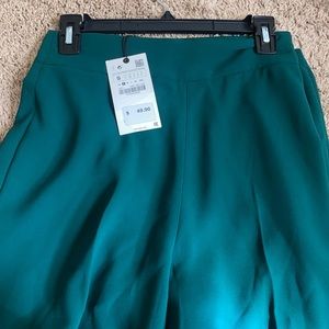 Zara Culottes pants